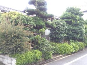 解体前