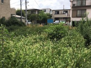 解体前
