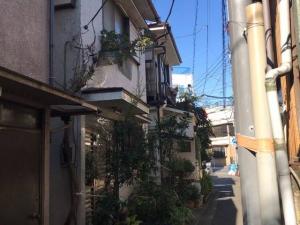 解体前