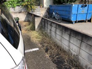 解体前