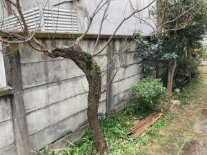 解体前
