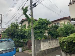 解体前