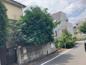 解体前