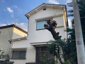 解体前