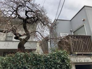 解体前