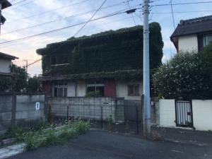 解体前