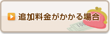 追加料金がかかる場合